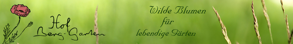 Hof Berg-Garten. Wilde Blumen für lebendige Gärten