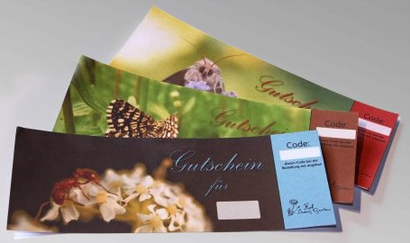 Gutscheine verschenken