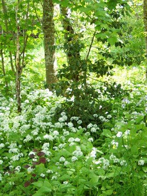 Schaugarten