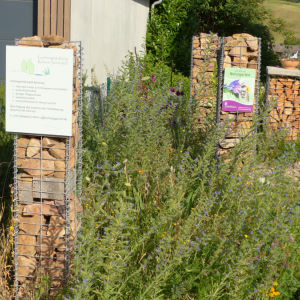Naturgarten in Wittnau