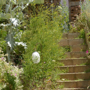 Naturgarten in Wittnau