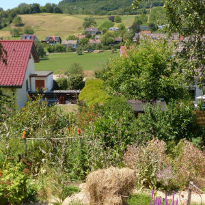 Naturgarten in Wittnau