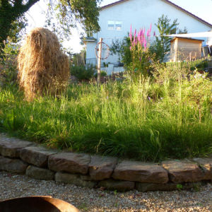 Naturgarten in Wittnau