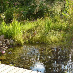 Naturgarten in Wittnau