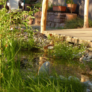 Naturgarten in Wittnau