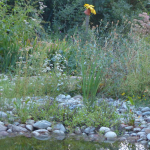 Naturgarten in Wittnau
