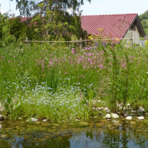 Naturgarten in Wittnau