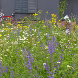 Naturgarten in Wittnau